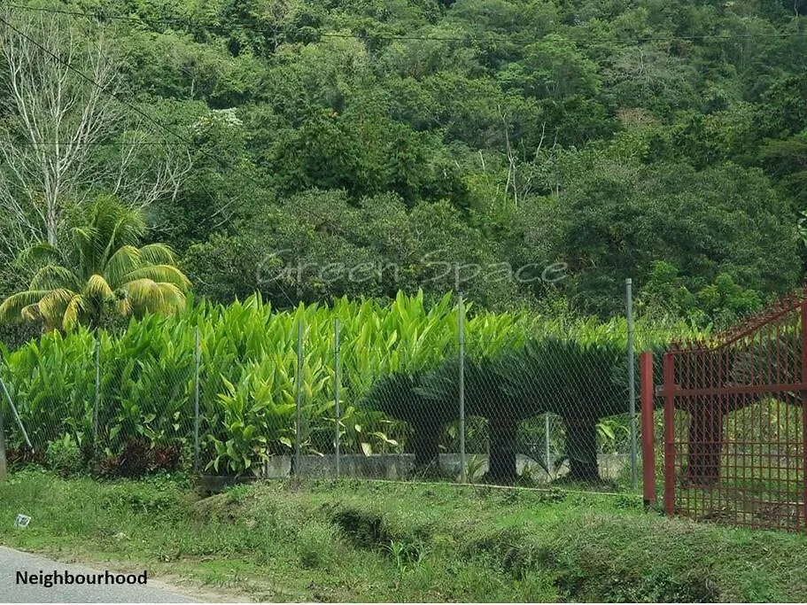 Green Space, Santa Cruz Valley, Trinidad&Tobago 0*, La Pastora